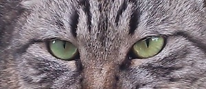 愛想なし