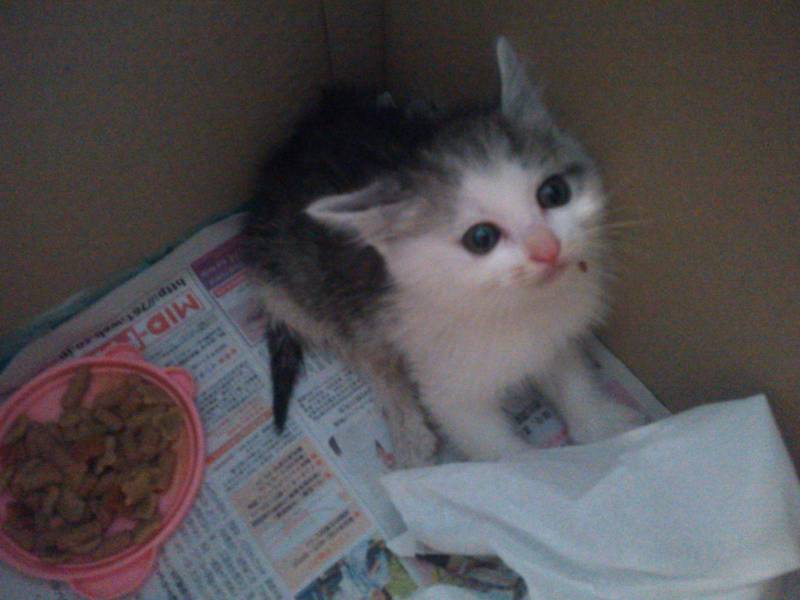 怒りと悲しみとやるせなさと・・・・・。