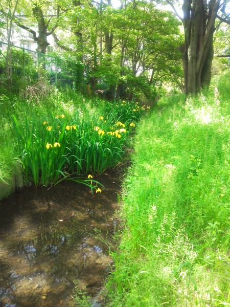 六波羅蜜を考える時なんですがねぇ・・・・・。