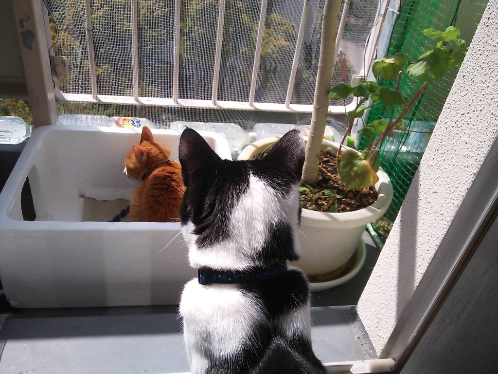 外は気持ちいいなぁ～