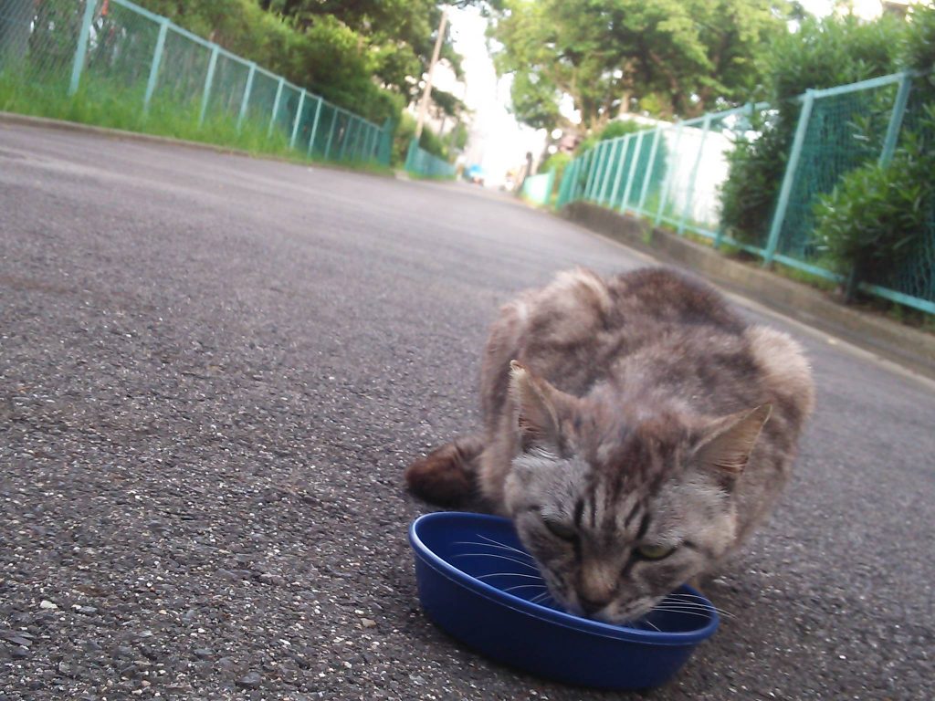 【愛想なし】食べれてるのかなぁ・・・