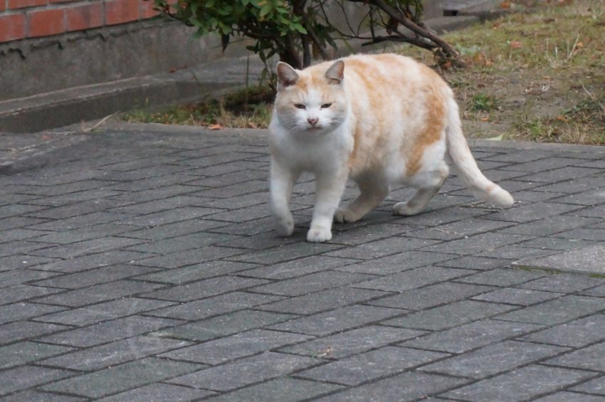 何もそこまで怒らなくても・・・