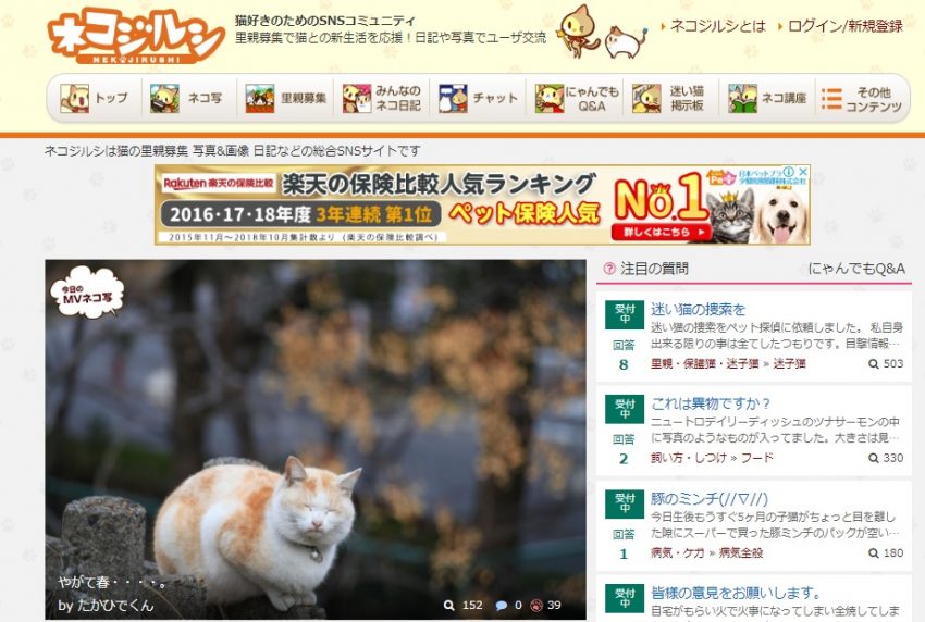 ネコジルシ、ネコ写4回目ＭＶです！！(^^)/|がんばれ！わが町名古屋の地域猫