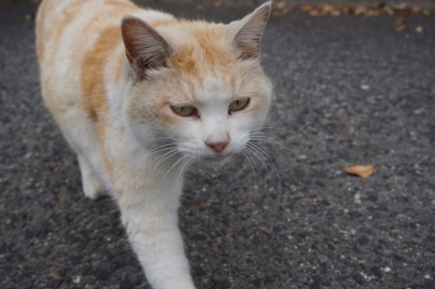 濡れ衣をかけられるのは嫌だね！！