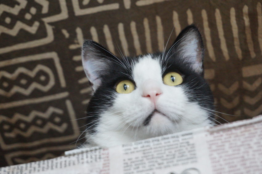 今日はとっても怖い運転をする車に２回遭遇しました