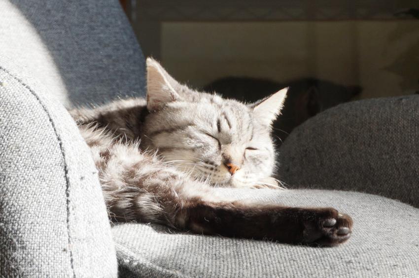 プロフィールページへ2020版の写真集追加しました