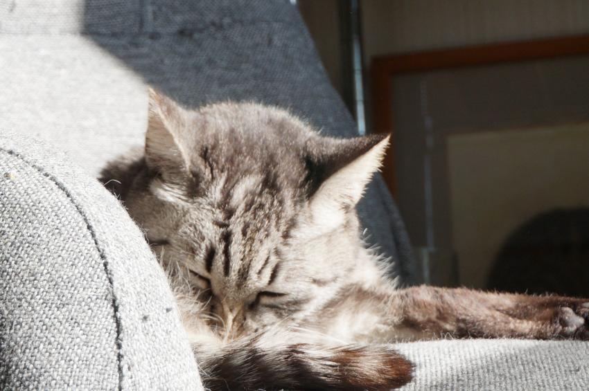 こんな嬉しい事が、次から次にやってくる