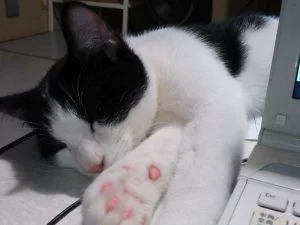 今日は無事に午前３時半を越えました