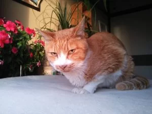 扉を開ければ奴がいる!! 扉を開ければ奴がいる!!
