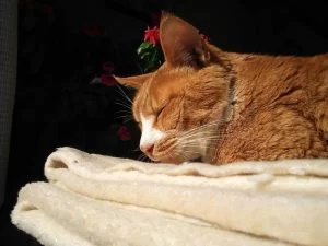 今日も夜中の3時♬♬ 今日も夜中の3時♬♬