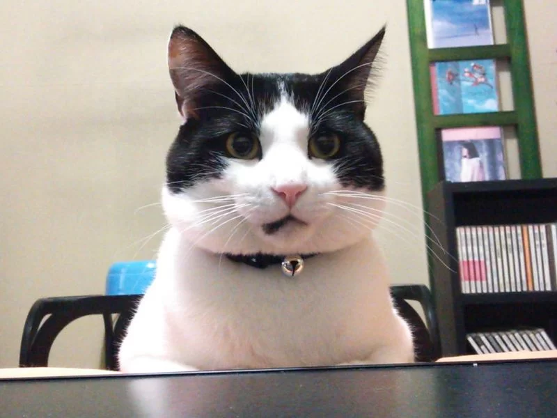 こういう風だから不便になるんですよね～～はてブURL移行の話　ほか