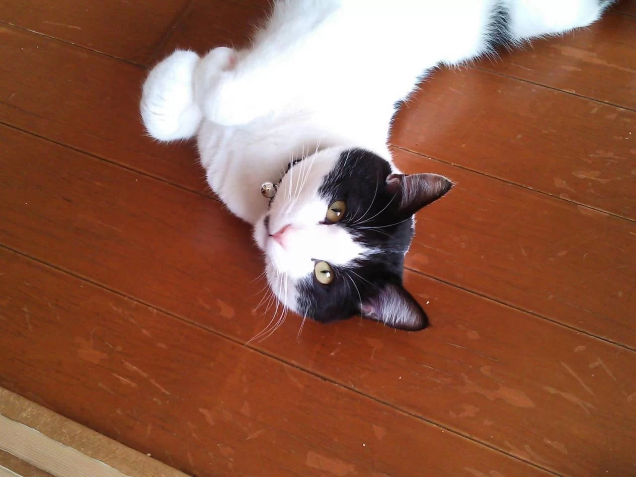 全く懲りないやつだなぁ・・・