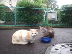 年金定期便を見てみると、納得いかんがね！！