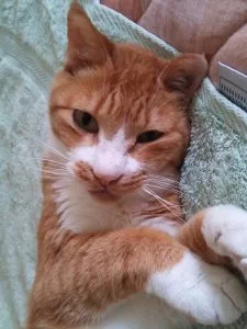 今回は厳しいかも・・・と納得したらできることはあるのか?? 今回は厳しいかも・・・と納得したらできることはあるのか??