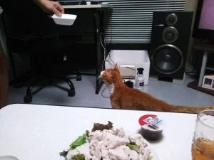 たまらんぜぃ、豚肉にささみサキサキ!! たまらんぜぃ、豚肉にささみサキサキ!!