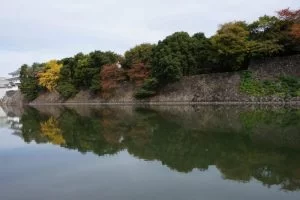 名古屋城 紅葉 2018