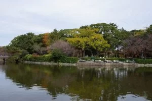 名古屋城 紅葉 2018