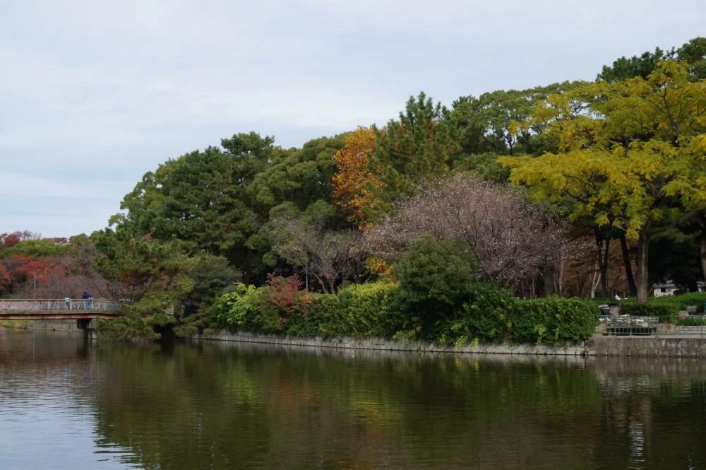 名古屋城 紅葉 2018 名古屋城 紅葉 2018