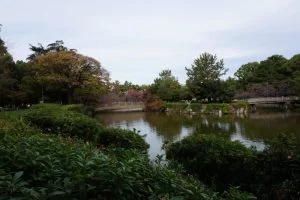 名古屋城 紅葉 2018 名古屋城 紅葉 2018