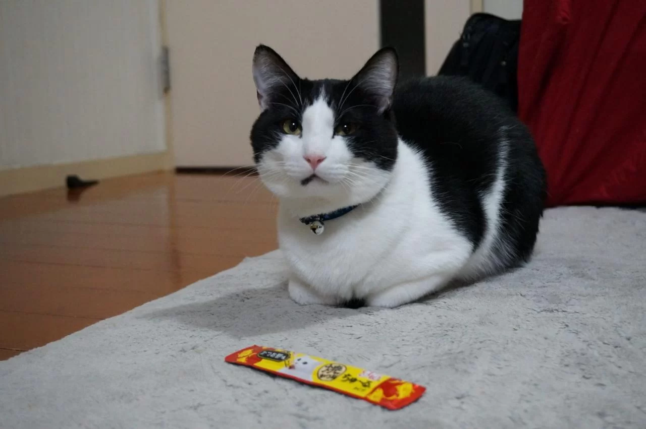 モモの写真
