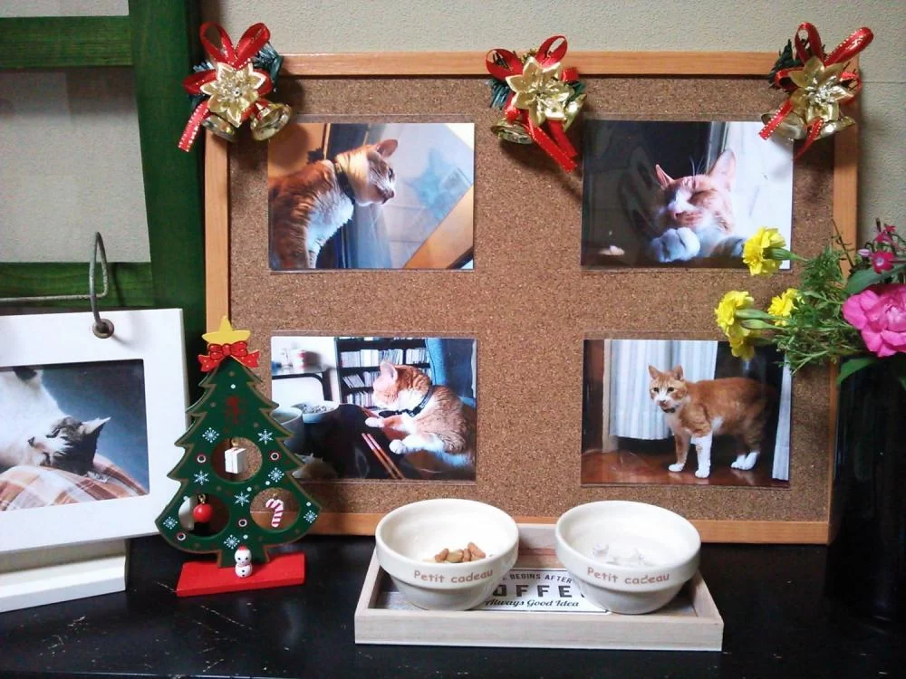 ささやかですが、茶くんの祭壇？もプチクリスマスにしてあげました