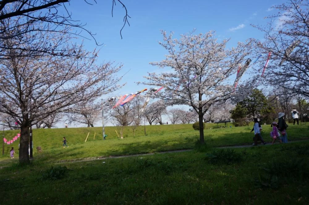 【桜】名古屋市西区の『蛇池公園』へ行ってきました|Ordinary Life 【桜】名古屋市西区の『蛇池公園』へ行ってきました|Ordinary Life