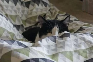 片眼で見てる時と、両眼で見てる時は・・・・。