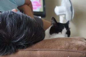 寝子、😺。 寝子、😺。