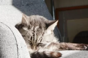 こんな嬉しい事が、次から次にやってくる こんな嬉しい事が、次から次にやってくる