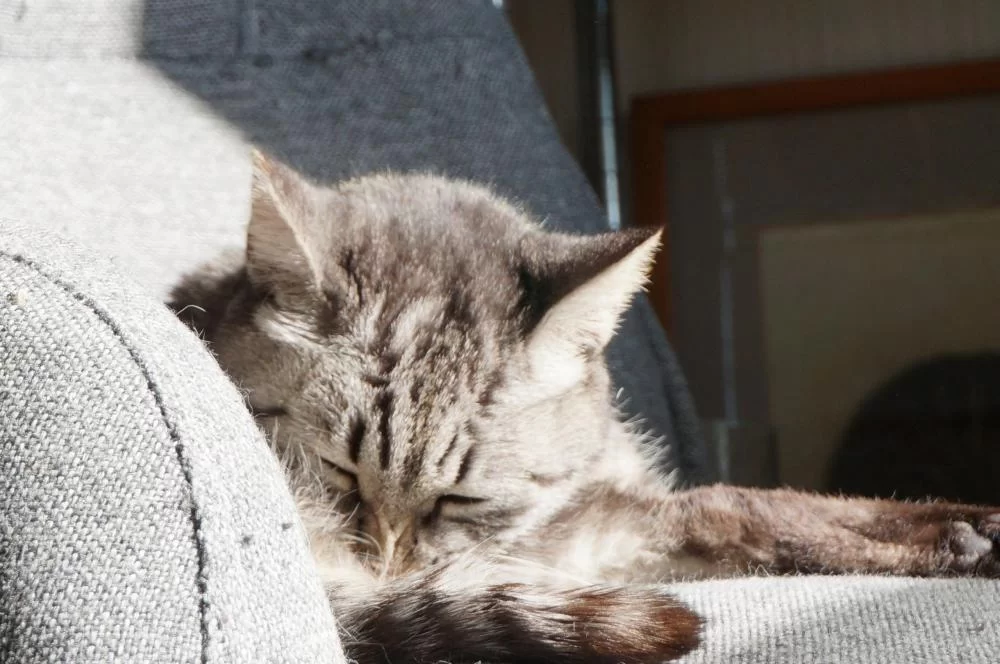 こんな嬉しい事が、次から次にやってくる