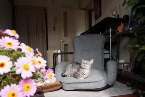 2020/2/22にゃん、にゃん、😸 2020/2/22にゃん、にゃん、😸