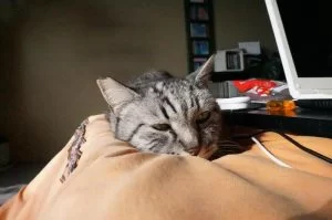ここはあったかい・・・・・。