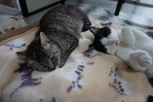ココ、本領発揮!! ココ、本領発揮!!