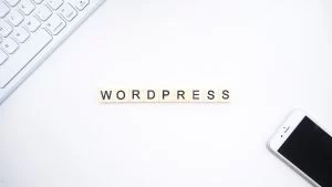 WordPress WordPress