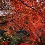 2018-11-26 11:35:08