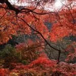 2018-11-26 11:35:35