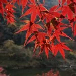 2018-11-26 11:37:08