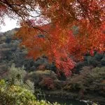 2018-11-26 11:38:53