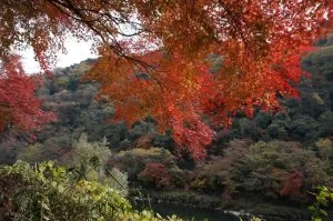 2018-11-26 11:38:53
