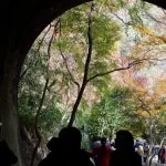 2018-11-26 11:44:28