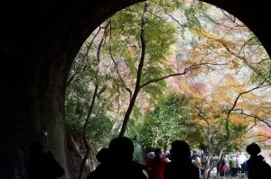 2018-11-26 11:44:28