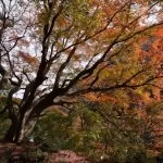 2018-11-26 11:44:58