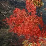 2018-11-26 11:51:17