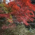 2018-11-26 12:46:38