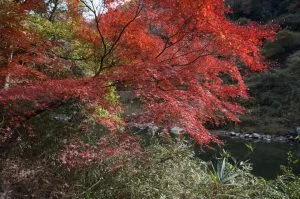 2018-11-26 12:46:38