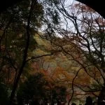 2018-11-26 12:54:48