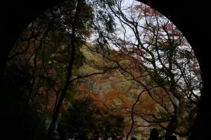 2018-11-26 12:54:48