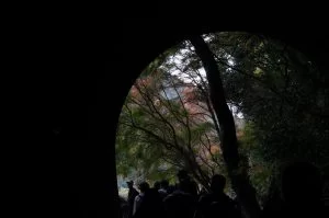 2018-11-26 12:56:09