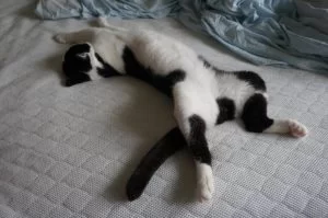 去年はこんなに暑かったっけ？？