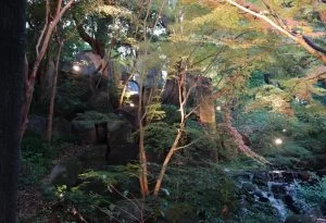 名古屋市内紅葉名所、『　徳川園　』へ行ってみた